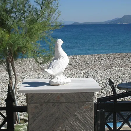 Apartment Avlakia Beach & *
